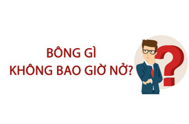 Bông gì không bao giờ nở?