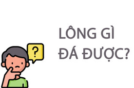 Lông gì đá được? 