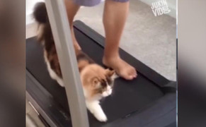 Những tình huống hài hước trong phòng tập gym