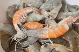 1001 tình huống bi hài khi đối mặt với cái nóng kinh hoàng của mùa hè