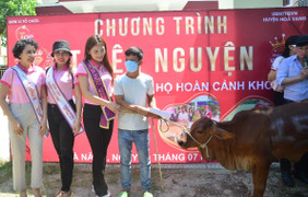 Trao tặng bò giống cho hộ nghèo ở Đà Nẵng