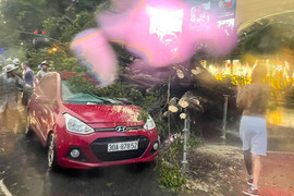 Mưa giông ầm ầm, cây đổ đè 2 ô tô đang di chuyển trên phố ở Hà Nội