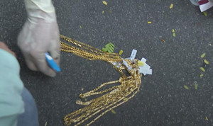 Vụ dùng súng AK cướp tiệm vàng ở Huế: Công an đề nghị người dân trả lại tài sản