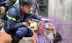 Bức ảnh chiến sĩ cứu hỏa Đỗ Đức Việt bên chú chó khiến cộng đồng mạng rơi lệ