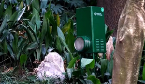 Video: Công viên 'không muỗi' ở Trung Quốc