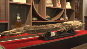 Video: Khối trầm hương giống 'thanh bảo kiếm' ở Hà Nội