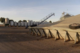 Trung Quốc dừng nhập khẩu nhiều mặt hàng từ Đài Loan