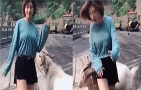 Gái xinh bị dê húc khi đang nhún nhảy trên đường
