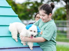 Công viên dành cho chó đầu tiên tại Hà Nội, mỗi ngày đón hơn 100 lượt thú cưng