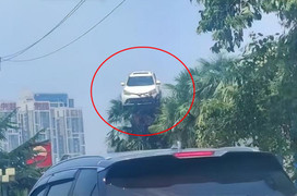 Kỳ lạ với cảnh ô tô ‘bay’ lên ngọn cây treo lơ lửng và nguyên nhân phía sau