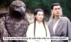 Cái gì của chim nhưng lại xuất hiện trên cơ thể người?