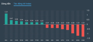 Chứng khoán ngắt chuỗi tăng