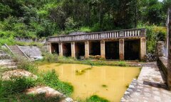 Ảnh: Ao vua Bảo Đại, tàn tích bí ẩn giữa rừng thông Đà Lạt 