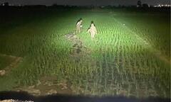 Đang yên lành, cặp đôi lao xuống ‘cày ruộng’ giữa đêm với bộ dạng gây ngao ngán