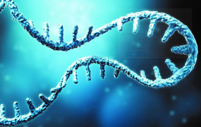 Phát hiện loại 'gene nhảy' ở chuột có thể giúp con người điều trị bệnh nan y