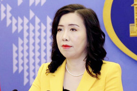 Bộ Ngoại giao xác nhận hai công dân Việt Nam bị giữ ở Tây Ban Nha đã về nước