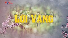 Những lớp quần áo