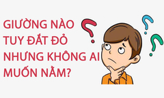 Giường nào tuy đắt đỏ nhưng không ai muốn nằm?