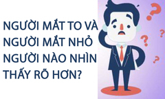 Người mắt to và người mắt nhỏ, ai nhìn thấy rõ hơn?