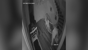 Video: Khu đô thị hạng sang ở Hà Nội liên tục bị trộm đột nhập