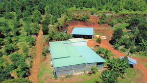 Cựu phó chủ tịch huyện biến đất rừng thành của riêng