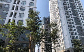 Cô gái chết bất thường trong căn hộ chung cư ở Hà Nội