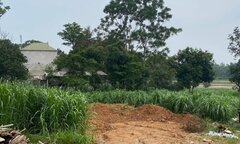 'Thương vụ' nực cười nhất thời sốt đất: Bãi cỏ sâu trong ngõ cũng có giá 2,5 tỷ