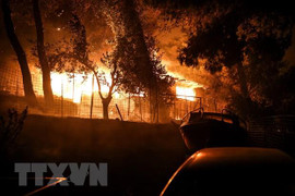 Cháy rừng nghiêm trọng thiêu rụi hàng chục tòa nhà tại Nga