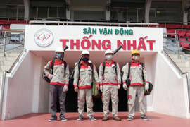 Diệt mối Thái Dương: Công ty diệt côn trùng uy tín tại TP.HCM