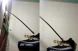 Mở đèn suốt đêm để ngủ, nửa khuya giật mình tỉnh dậy phát hiện ‘cảnh tượng lạ’