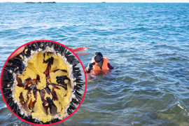 Ảnh: Lặn biển 'săn' nhum, ngư dân Quảng Ngãi phấn khởi thu bạc triệu