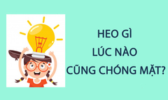 Heo gì lúc nào cũng chóng mặt?