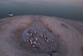 Video: Hạn hán làm lộ mộ đá 7.000 năm tuổi ở Tây Ban Nha