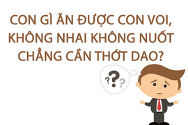 Con gì ăn được con voi, không nhai không nuốt chẳng cần thớt dao? 