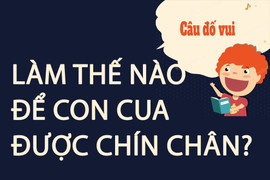 Làm thế nào để con cua được chín chân?
