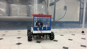 Video: Chuột 'lái xe' tìm thức ăn