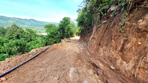 Doanh nghiệp tự ý cày nát rừng Hải Vân để trồng dược liệu