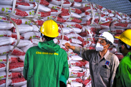 Chương trình 'Nhà nông Phú Mỹ': Lan tỏa kỹ thuật canh tác tới bà con nông dân