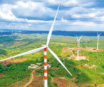 Làm tắt, lách luật, điện gió thành công mà đau đớn