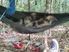  Phát hiện 2 bộ xương khô bí ẩn giữa rừng giáp ranh