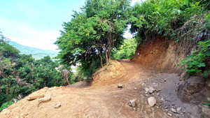 Doanh nghiệp cày nát rừng Hải Vân để trồng dược liệu: 2.500m2 rừng bị tàn phá