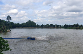 'Bà đỡ' tín dụng của nông dân Tiền Giang