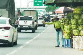 Bán ổi làm loạn đầu cao tốc Hà Nội - Hải Phòng: Vì sao chính quyền bất lực?