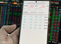 Bị bán tháo, cổ phiếu 'họ' FLC giảm sàn hàng loạt 