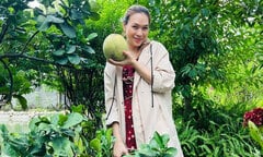 Lại bị nghi mang bầu, Mỹ Tâm nói gì?