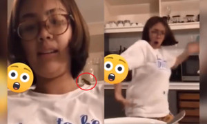 Cô nàng tá hỏa vì gián bò lên người