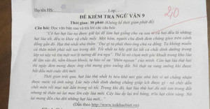 Người mẹ vui vẻ đón nhận bài văn 2 điểm của con