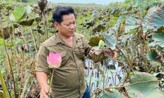 Đường về nẻo thiện của Hải ‘bàu sen’