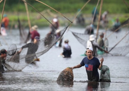 Người dân nô nức trẩy hội 'phá trằm' bắt cá sau 2 năm gián đoạn do dịch bệnh
