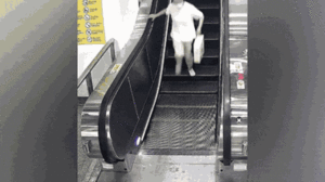 Video: Chiếc vali 'ma' hất văng người phụ nữ đi thang cuốn ở Trung Quốc